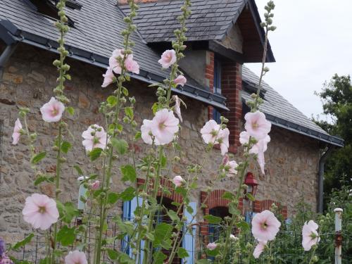 Des fleurs et des couleurs du coté de SaintSébastien (Piriac)