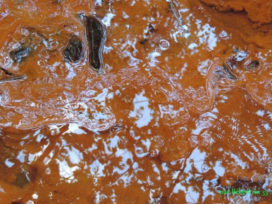 Broceliande - le val sans retour (35) - 2