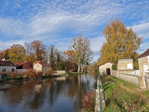 2011, automne exceptionnel..