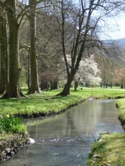 Le printemps est là ! 