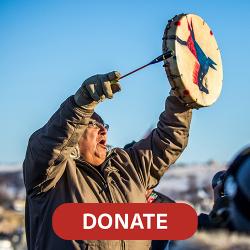  Stop DAPL