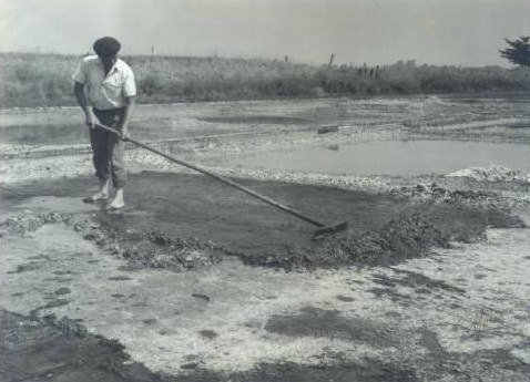 limage-1.jpg