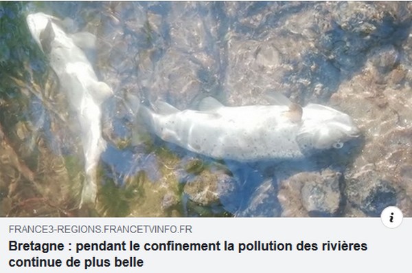 Bretagne confinement-pollution des rivieres