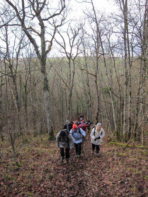 "Ahuy - Charmes aux Lièvres" - Dimanche 17 janvier 2016