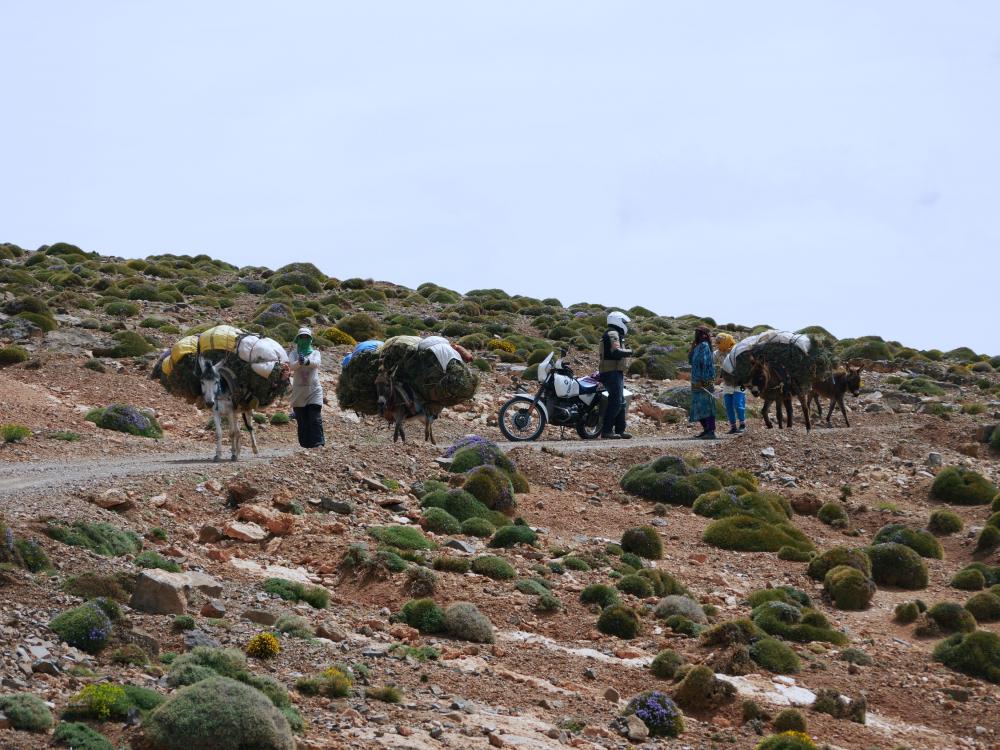 M'Semrir - Agoudal