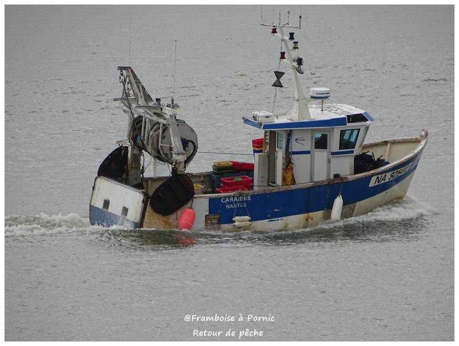 Pornic, retour de pêche