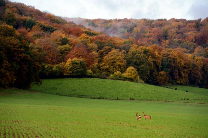 Département de la Meuse