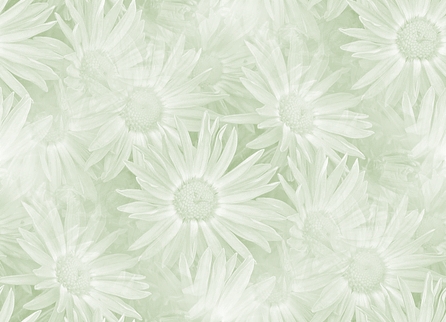 Fleurs (grandes textures)
