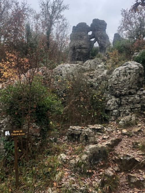 Bois de Paiolive (07)