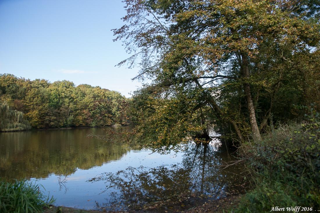 En matière de réflexion...