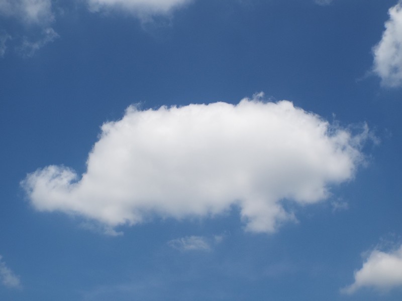 "Le regard dans les nuages" ...