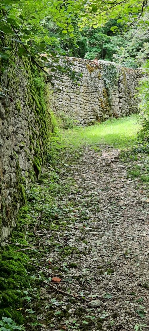 "Les Anis" Suite - Samedi 13 juillet 2024