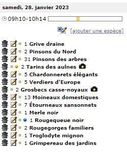Comptages des oiseaux du jardin