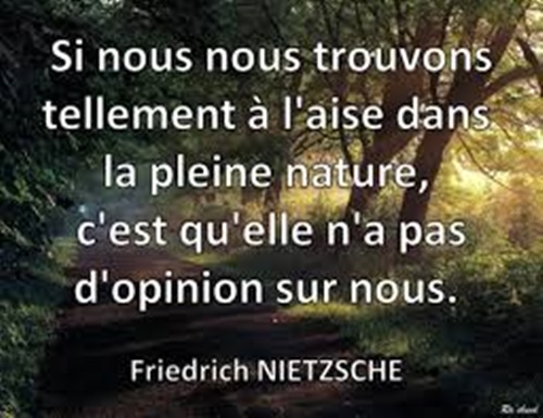 mousses et moussiers ...