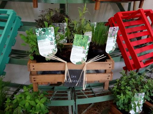 La fête des jardins au château de Montigny sur Aube...