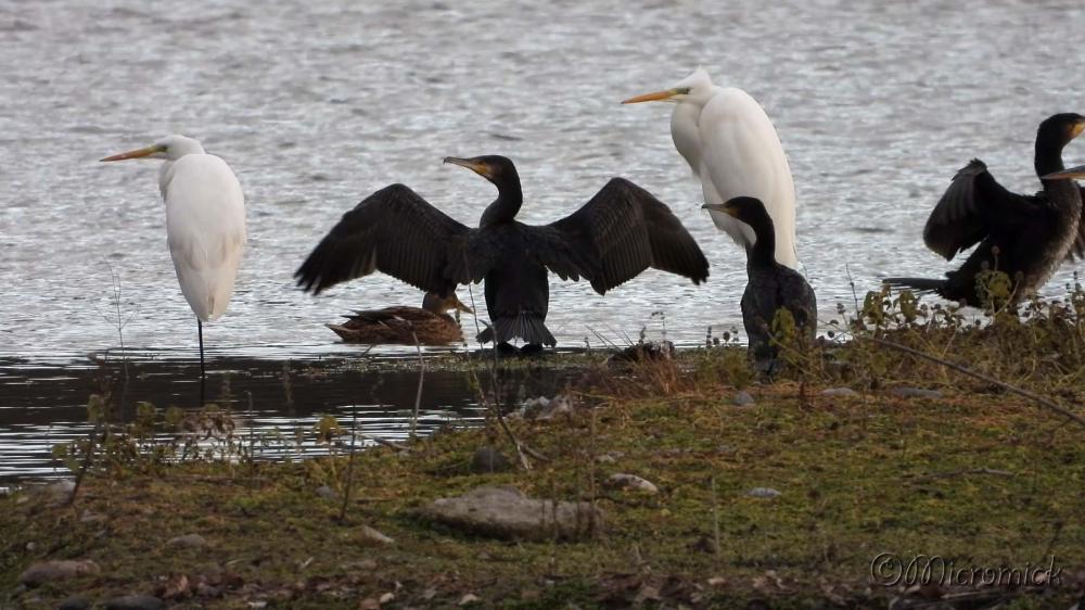 Ecopôle du Val d'Allier 1