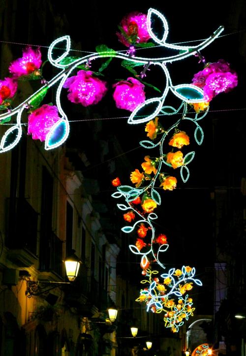 Le jardin de lumière