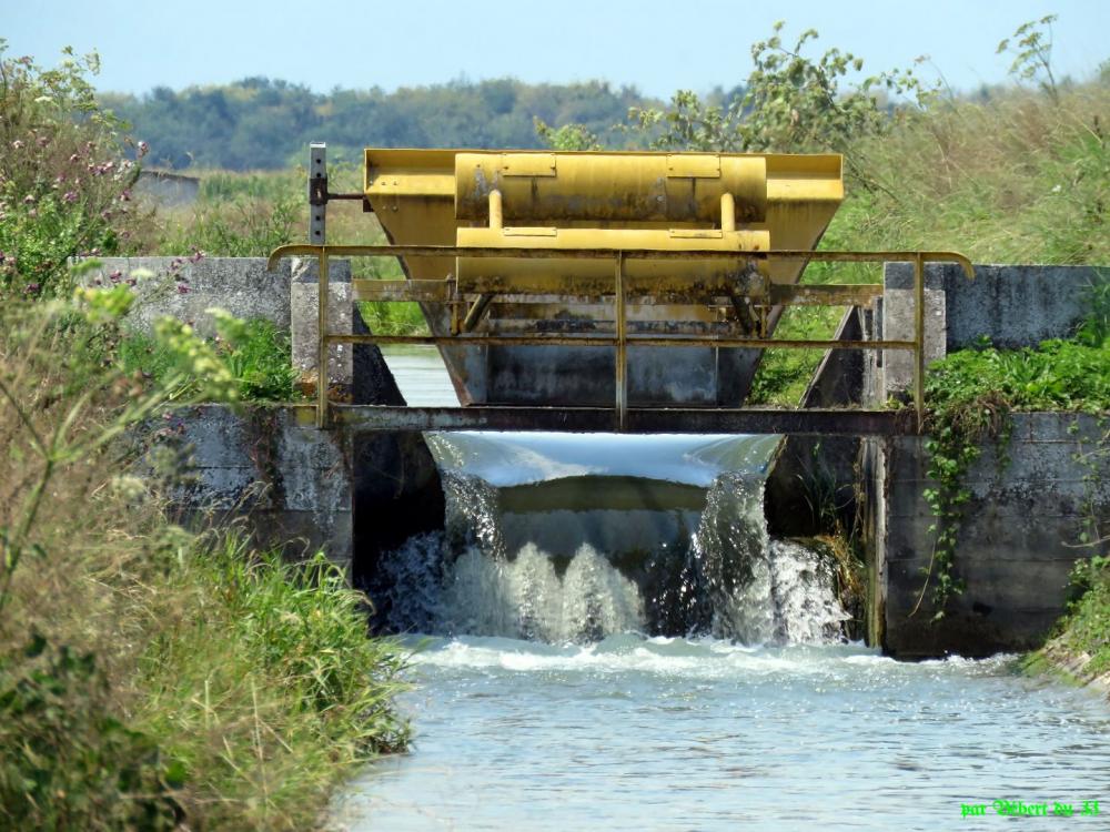 Balade à vélo au départ de Fessenheim