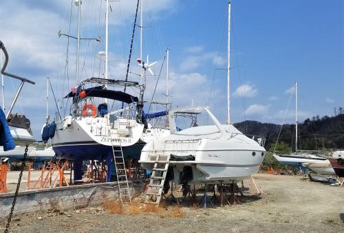 Un article pas drôle du tout !!!