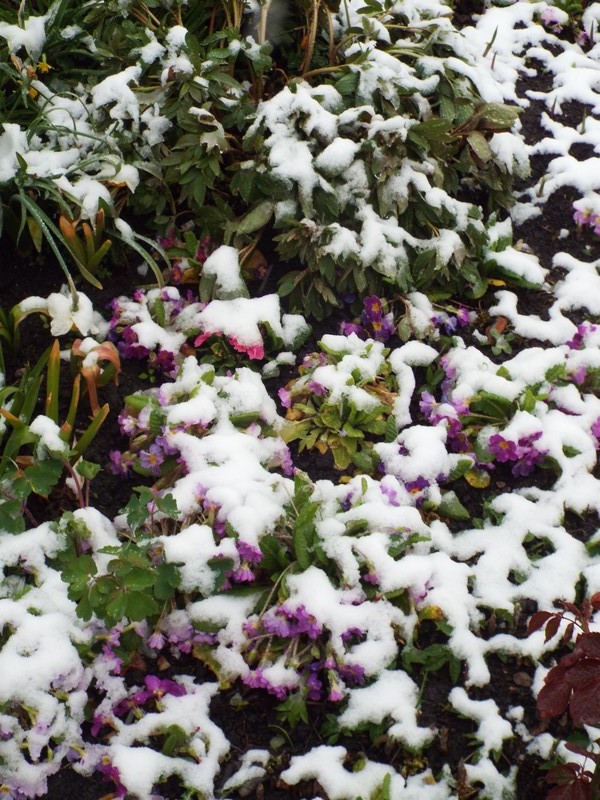 en hiver ...