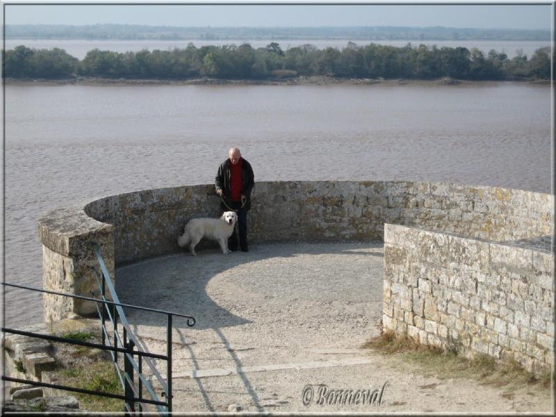Citadelle de Blaye Gironde les fortifications la Tour de l'Aiguillette