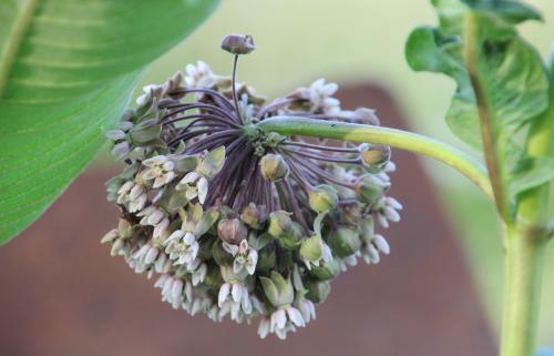 Chambre d'ôtes "Haut-Jardin" à Vignoux-sous-les-Aix