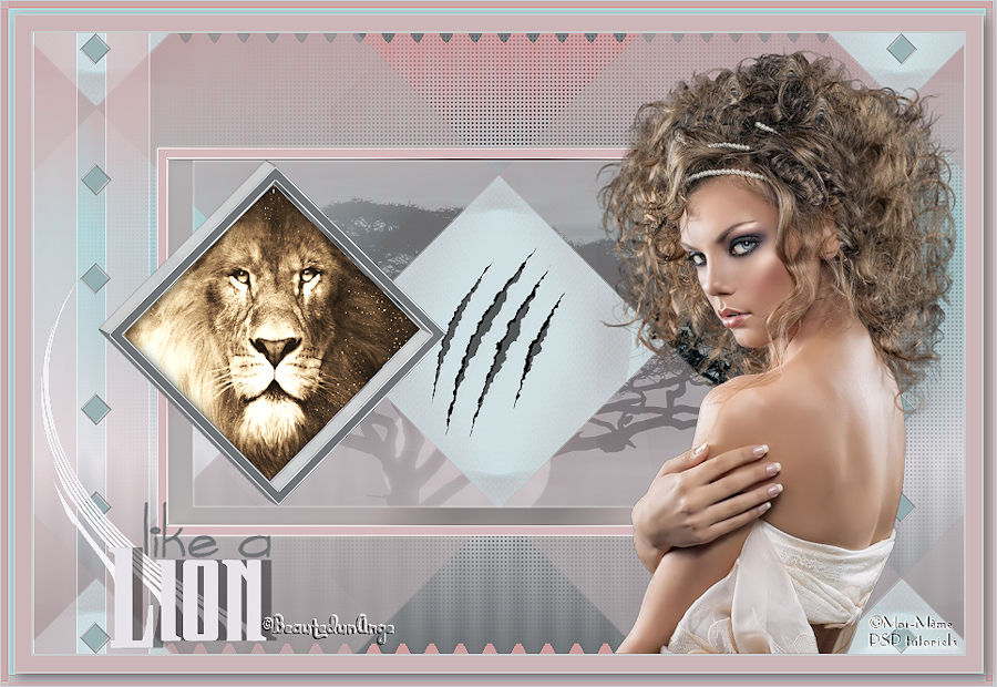 Like a Lion