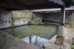 La randonnée du 19 décembre à Avenay