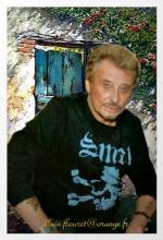 Fond ecran johnny hallyday0010