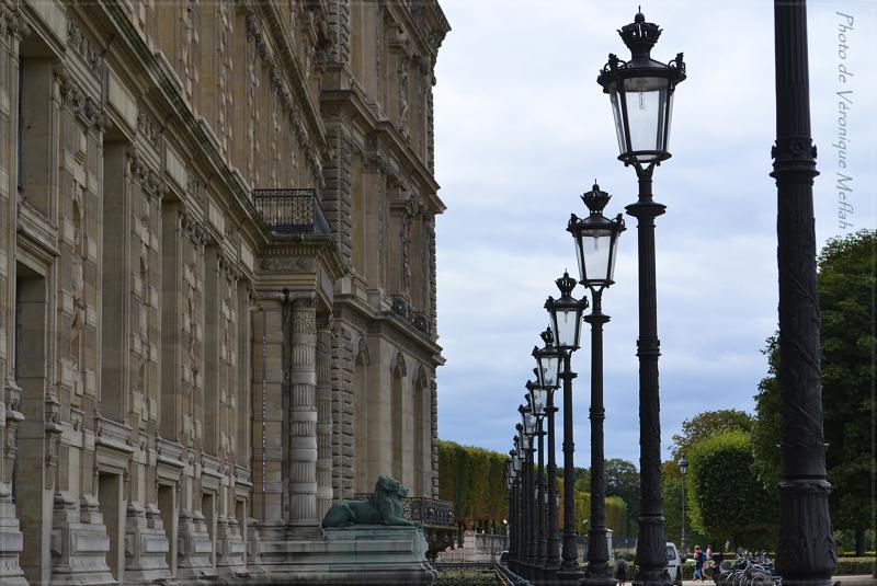 Musée du Louvre : La Porte des Lions : Lionnes du Sahara