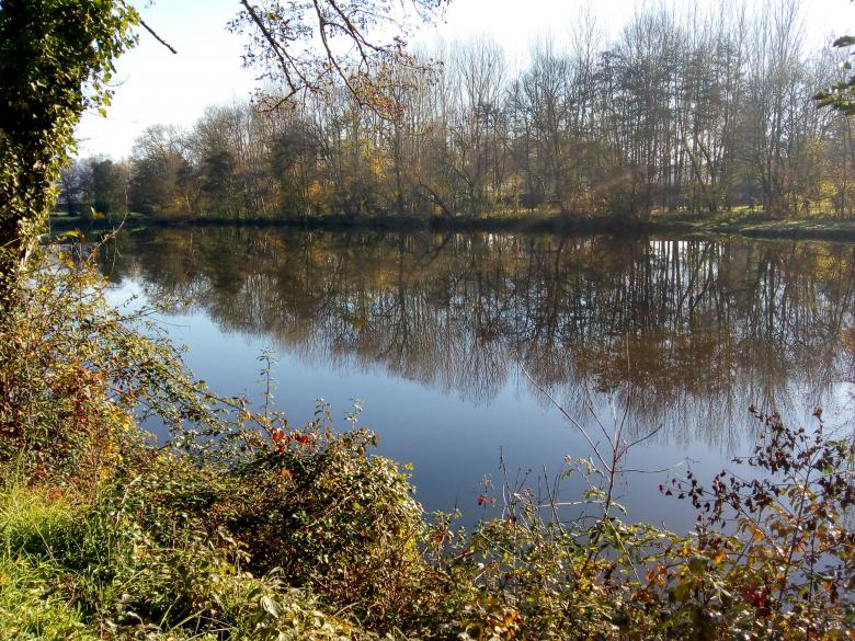 promenade au grand air ce dimanche