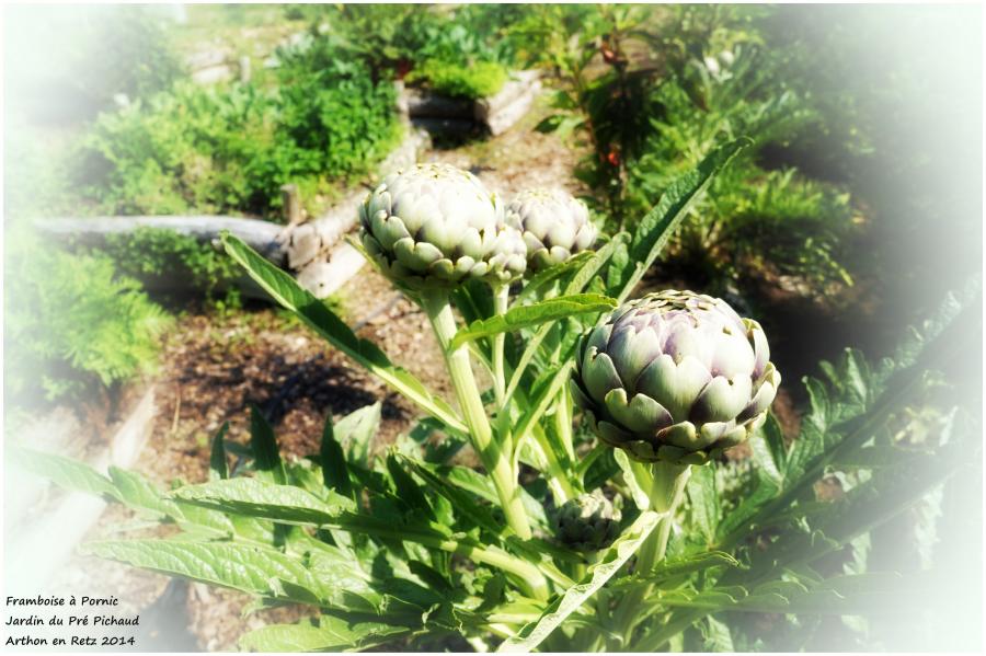 Les bons légumes du Pré Pichaud à Arthon en Retz 