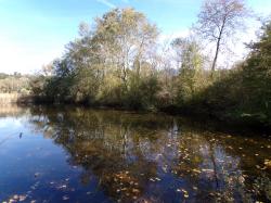 Beau mois d'octobre .