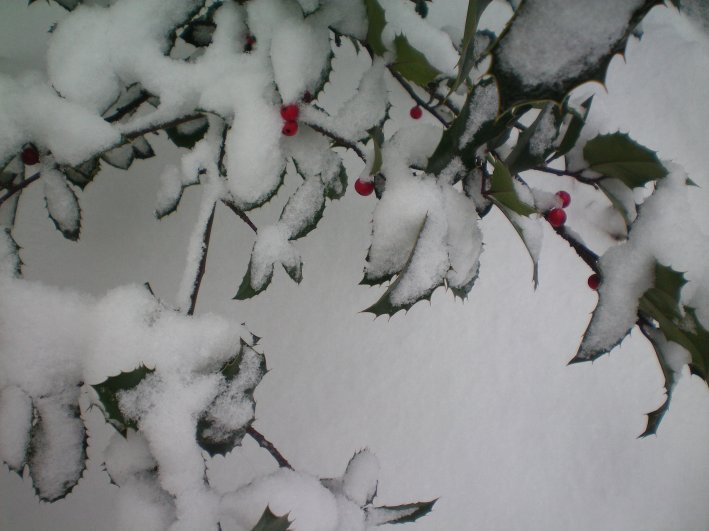 image37.jpg