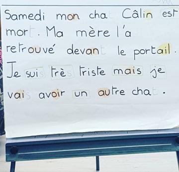 Le Toilettage de texte en CP ou comment démarrer en méthode naturelle 