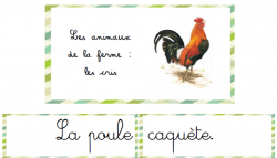 Vocabulaire - La ferme