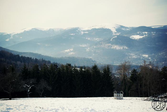 Voyage dans les Vosges 2/3
