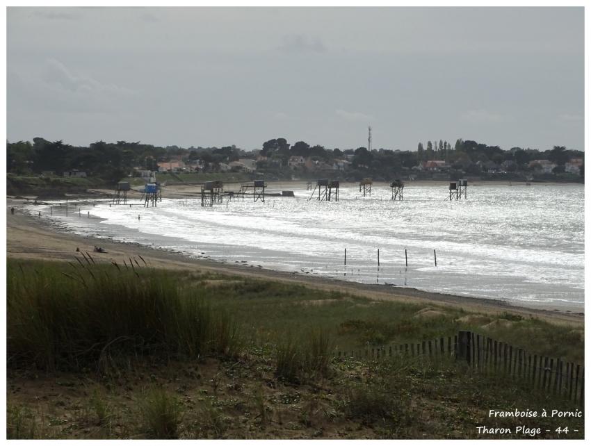 Balade à Tharon plage 