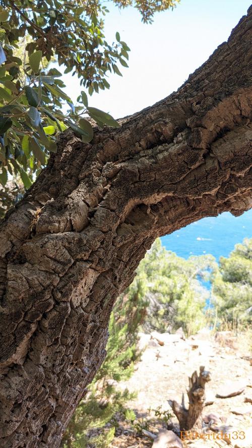 Le Pradet dans le Var - 2
