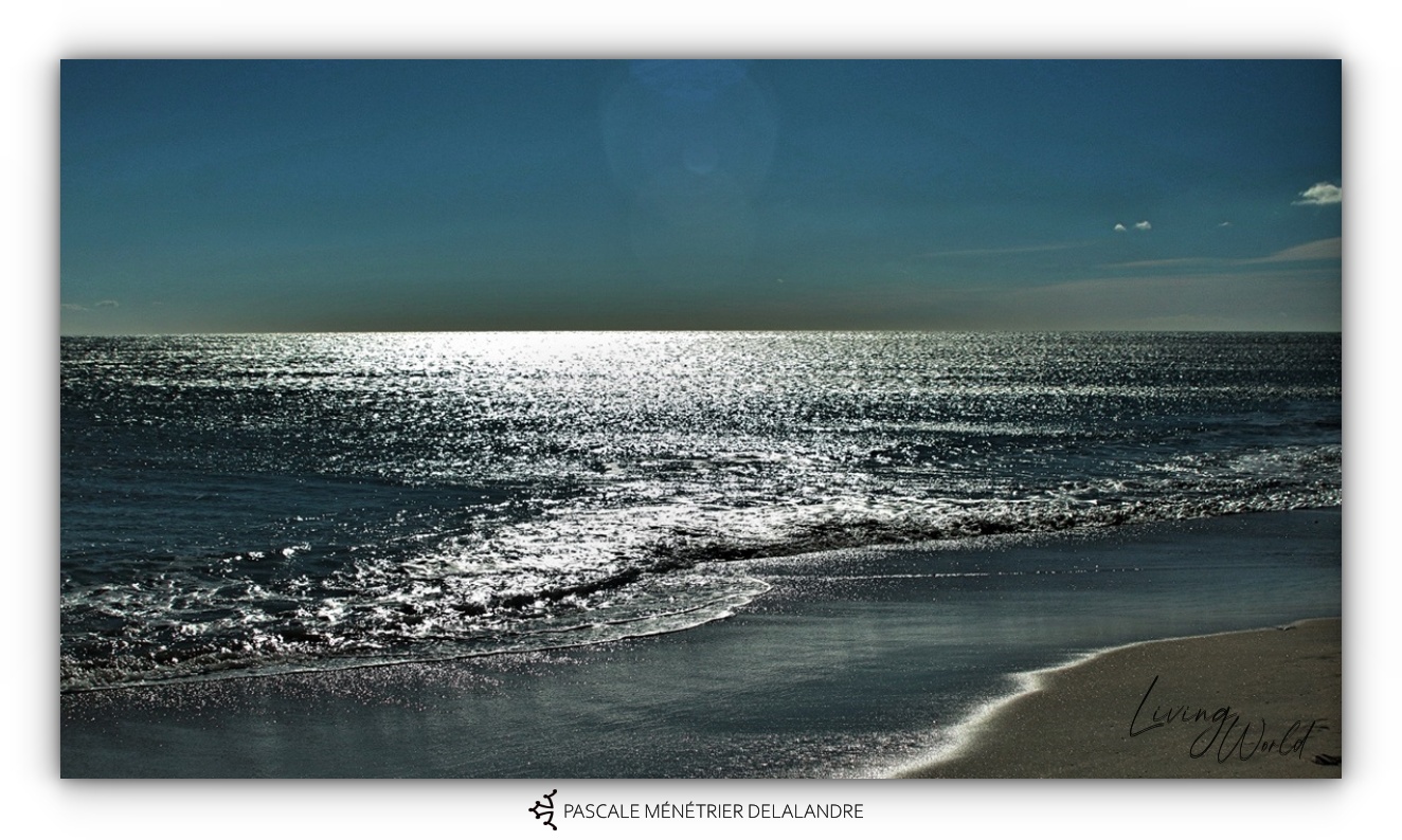 Plage de Villeneuve-lès-Maguelone
