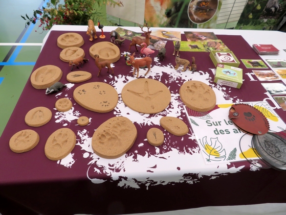 beaucoup d'artistes et artisans d'Art ont exposé au "salon des champignons" 2023 de la Société Mycologique du Châtillonnais