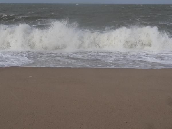 Les vagues de la mer