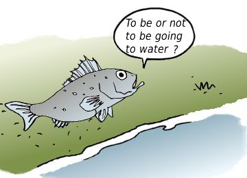 Question stupides ... !!!