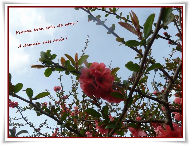 Le patrouillard ...