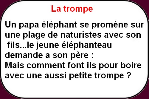 Un peu d'humour en ce vendredi pour le grand retour.