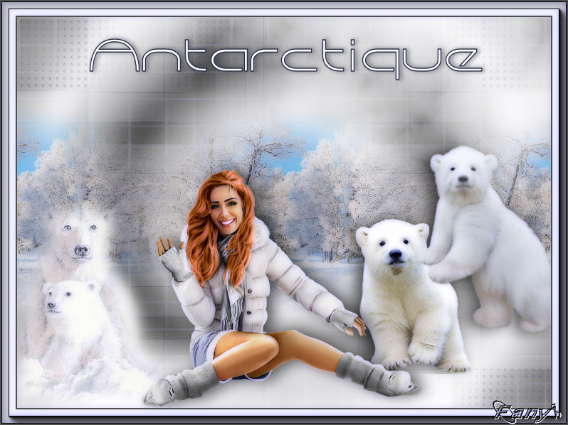 Antarctique - Page 2 1565243067-antarctique