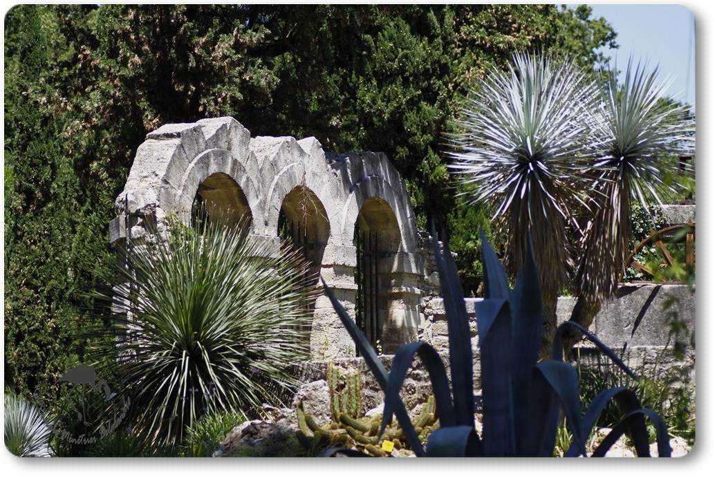 Balade au Jardin botanique de Montpellier...