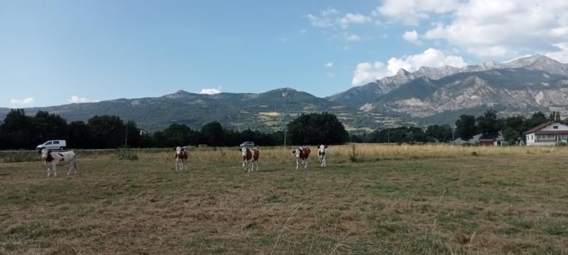 La course avec le vent
