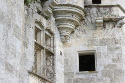 Quelques images du château de Rochefort à Asnières en montagne