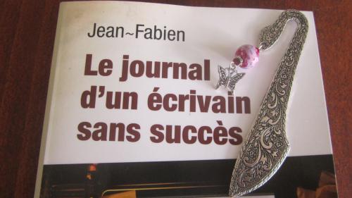 "Le journal d'un écrivain sans succès" Jean-Fabien